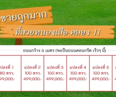 ที่ดินหนองเสือ คลอง11